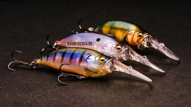 Megabass IXI Shad Type-3
